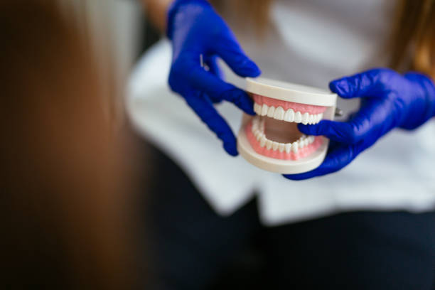 Trusted Marion, KY Holistic Dental Care Services Experts